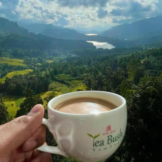 Отель Oak Ray Tea Bush Рамбода Экстерьер фото